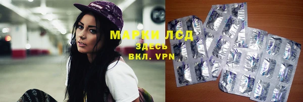 индика Медвежьегорск