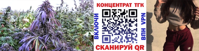 Дистиллят ТГК вейп Александровск