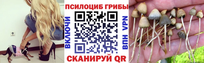 Псилоцибиновые грибы MAGIC MUSHROOMS  Александровск 